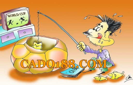 tylecacuoc cado188.com