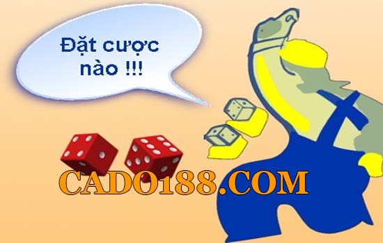 tylecacuoc cado188.com