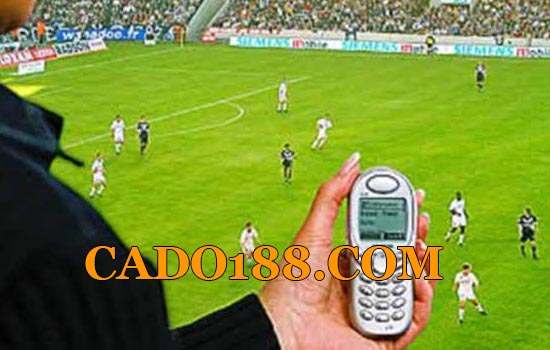 tylecacuoc cado188.com