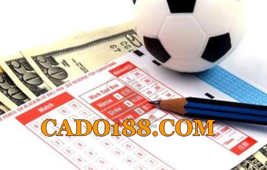 tylecacuoc cado188.com