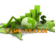 tylecacuoc cado188.com