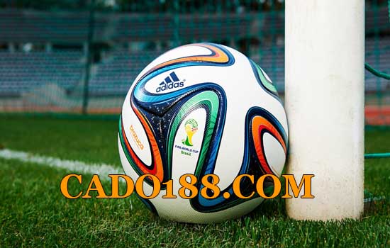 tylecacuoc cado188.com
