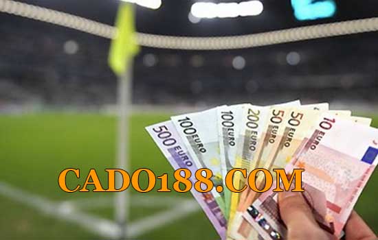 tylecacuoc cado188.com