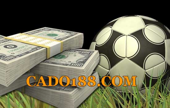 tylecacuoc cado188.comc