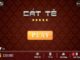huong-dan-choi-danh-bai-6-la-online-co-ban-don-gian-nhat