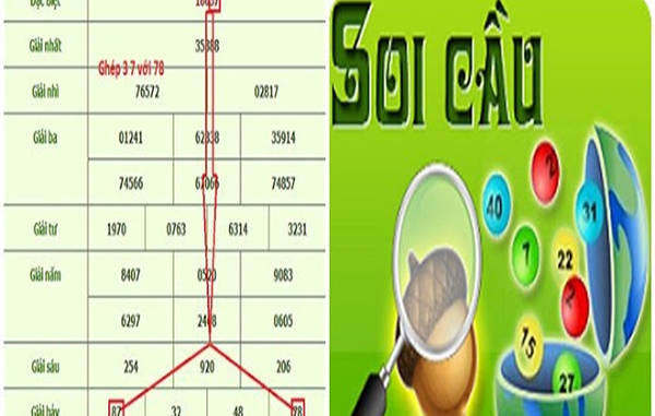 cac-cach-tinh-lo-mien-nam-chinh-xac-va-de-trung-thuong-nhat cac-cach-tinh-lo-mien-nam-chinh-xac-va-de-trung-thuong-nhat