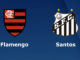 Flamengo vs Santos