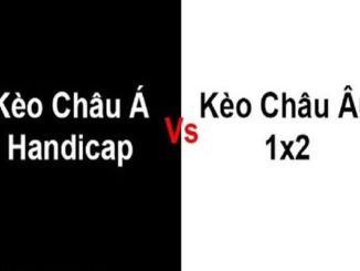 cach-cap-nhat-keonhacai-hom-nay-nhanh-va-chinh-xac-nhat2