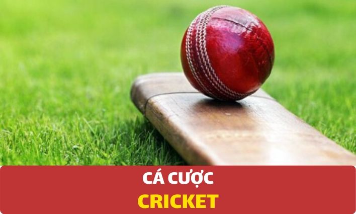 Cá cược Cricket được nhiều người tham gia tại nhà cái 188BET Cricket Là Gì? Hướng Dẫn Cách Cá Cược Cricket Tại 188bet