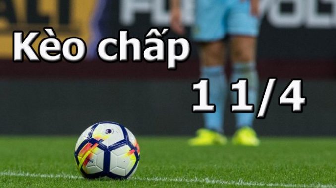 keo-chap-mot-trai-dong-nua-la-gi Kèo Chấp Một Trái Đồng Nửa Là Gì? Hướng Dẫn Xem Kèo Chi Tiết