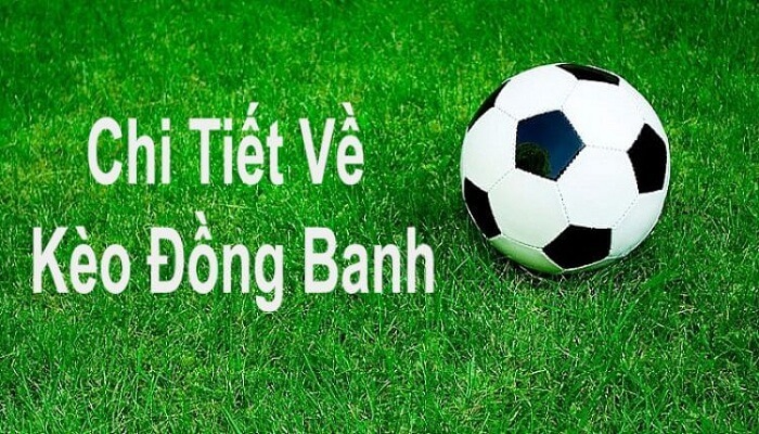 Kèo đồng banh là gì là vấn đề được nhiều người chơi quan tâm Kèo đồng banh là gì? Hướng dẫn cách đọc kèo đồng banh 188bet