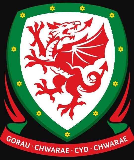 Biệt danh của đội tuyển xứ Wales là một chú rồng dũng mãnh mang kỳ vọng của khán giả hâm mộ Nguồn Gốc Biệt Danh Các Đội Tuyển Bảng A Tham Dự EURO 2021