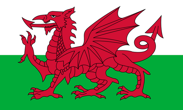 Rồng cũng là biểu tượng của quốc kỳ xứ Wales Nguồn Gốc Biệt Danh Các Đội Tuyển Bảng A Tham Dự EURO 2021