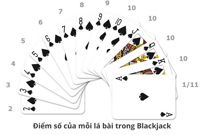 Bộ bài được sử dụng khi chơi là bài Tây 52 lá Blackjack Là Gì? Các Kiến Thức Về Trò Chơi Không Thể Bỏ Qua