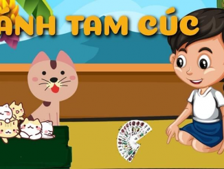 Bài Tam Cúc Là Gì? Hướng Dẫn Cách Chơi Bài Tam Cúc Chi Tiết