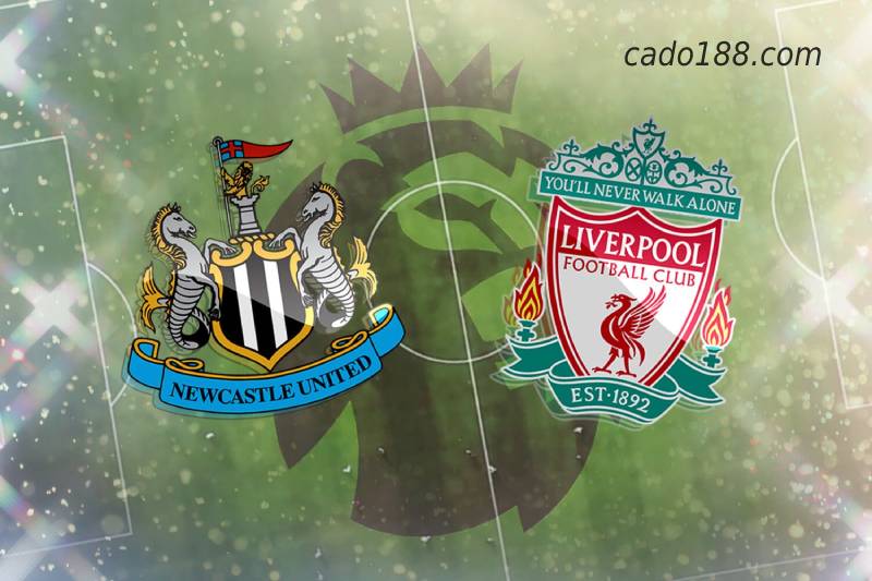 Soi kèo Liverpool vs Newcastle United, 03h00 ngày 17/12