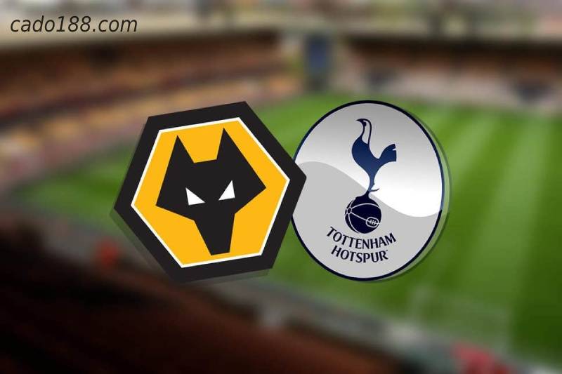 Soi kèo Tottenham vs Wolverhampton, 21h00 ngày 13/02