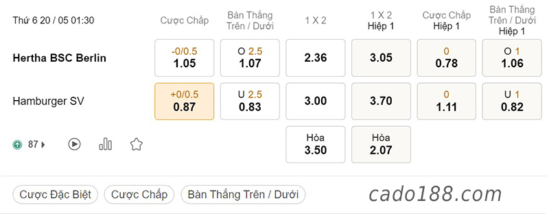 Hertha Berlin vs Hamburger, Play-off Bundesliga