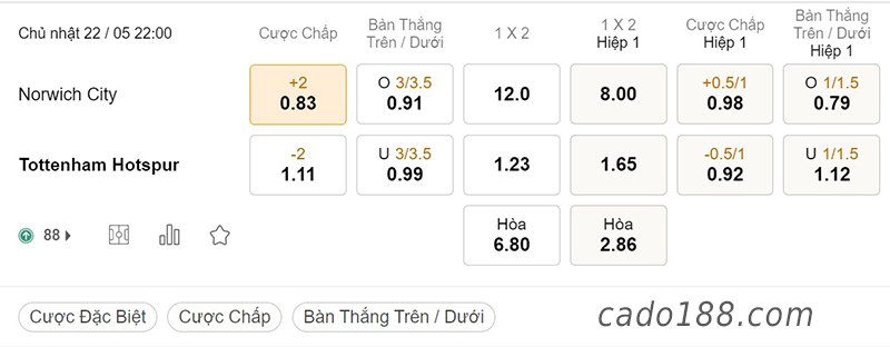 Norwich City vs Tottenham, 22h00, Ngoại hạng Anh