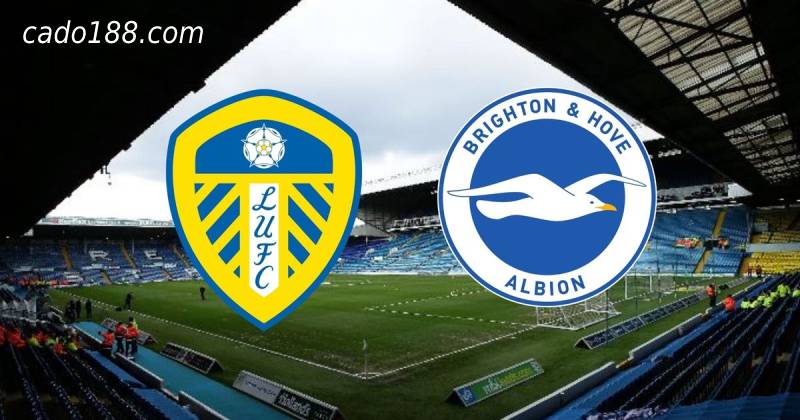 Soi kèo Leeds United vs Brighton, 20h00 ngày 15/05