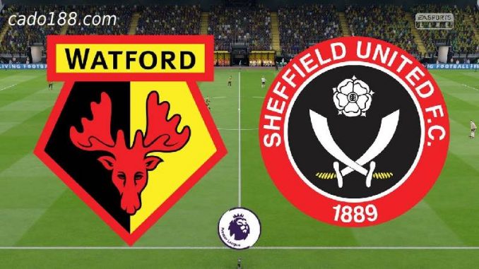soi-keo-watford-vs-sheffield-02-08-188bet-1 Soi kèo Watford vs Sheffield United, 2h00 ngày 02/08