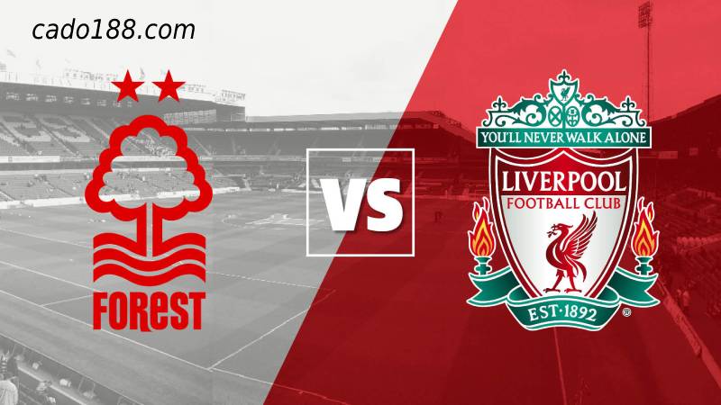 Soi kèo Nottingham vs Liverpool, EPL