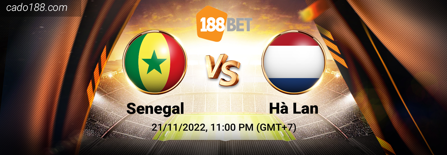 Soi kèo Senegal vs Hà Lan, World Cup