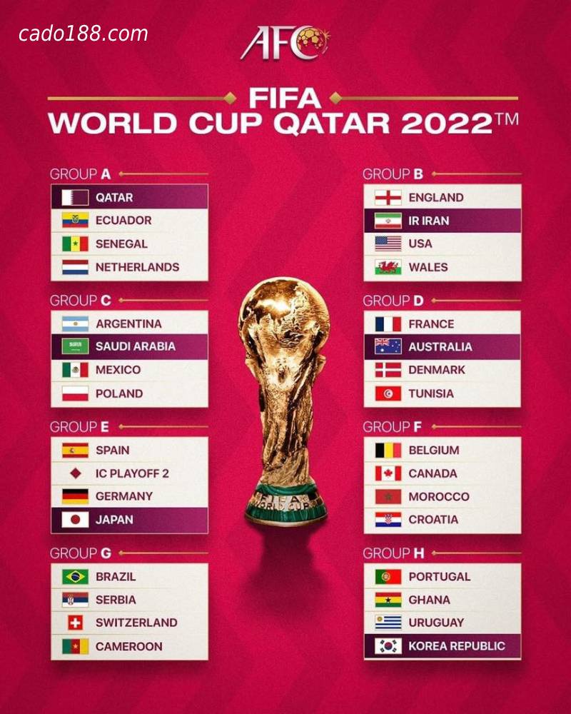 CẬP NHẬT LỊCH THI ĐẤU WORLD CUP 2022 MỚI NHẤT