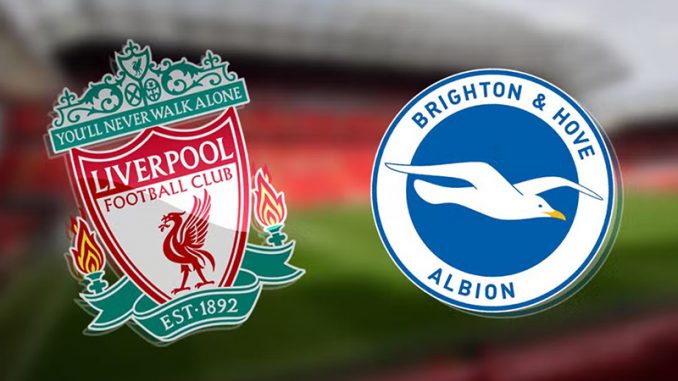 14-01-brighton-vs-lfc-liverpool-cado188 Soi kèo Brighton vs LFC Liverpool, 22h00 ngày 14/01, NHA