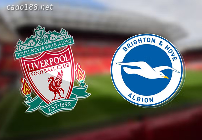 Soi kèo Brighton vs LFC Liverpool, 22h00 ngày 14/01, NHA