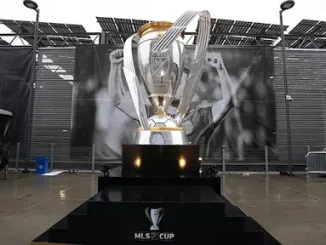 Nhà nghề Mỹ
