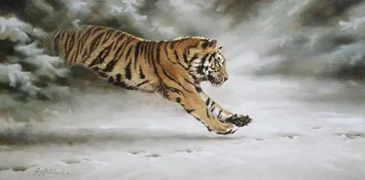 Giải mã giấc mơ bị hổ đuổi Giải mã giấc mơ bị hổ đuổi