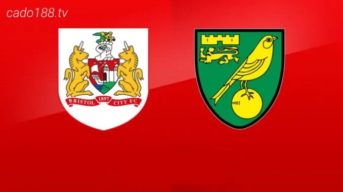 soi-keo-bristol-city-vs-norwich-city-30-08-188bet Soi kèo Bristol City vs Norwich City, 01h45 ngày 30/08
