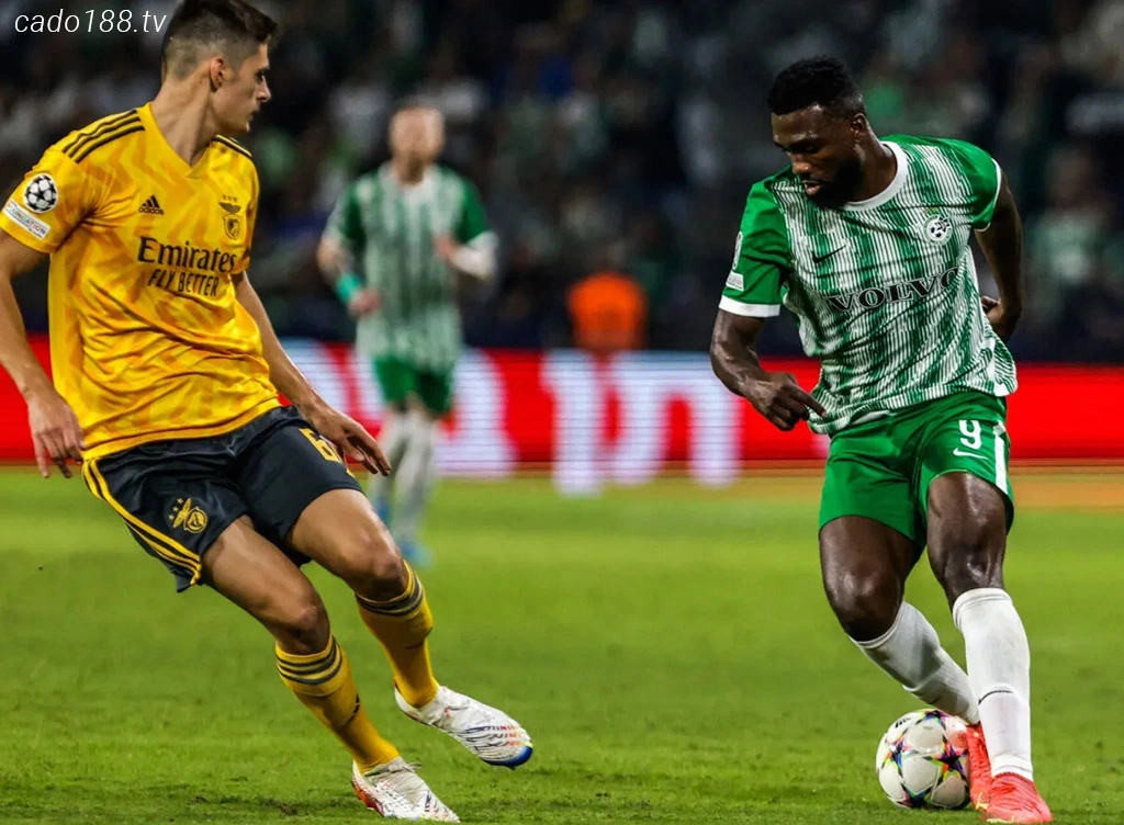 Nhận định kèo xiên 24/08 Maccabi Haifa vs Young Boys, UCL