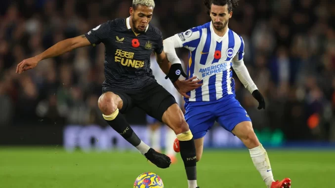 soi-keo-xien-ngay-02-09-brighton-vs-newcastle-cado188 Nhận định kèo xiên ngày 02/09 Brighton vs Newcastle, EPL