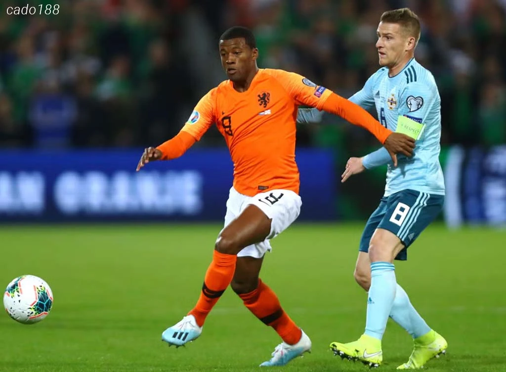 Soi kèo xiên ngày 11/09 Ireland vs Hà Lan, Euro 2024