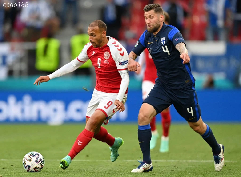 Nhận định kèo xiên 18/11 Đan Mạch vs Slovenia, Euro 2024