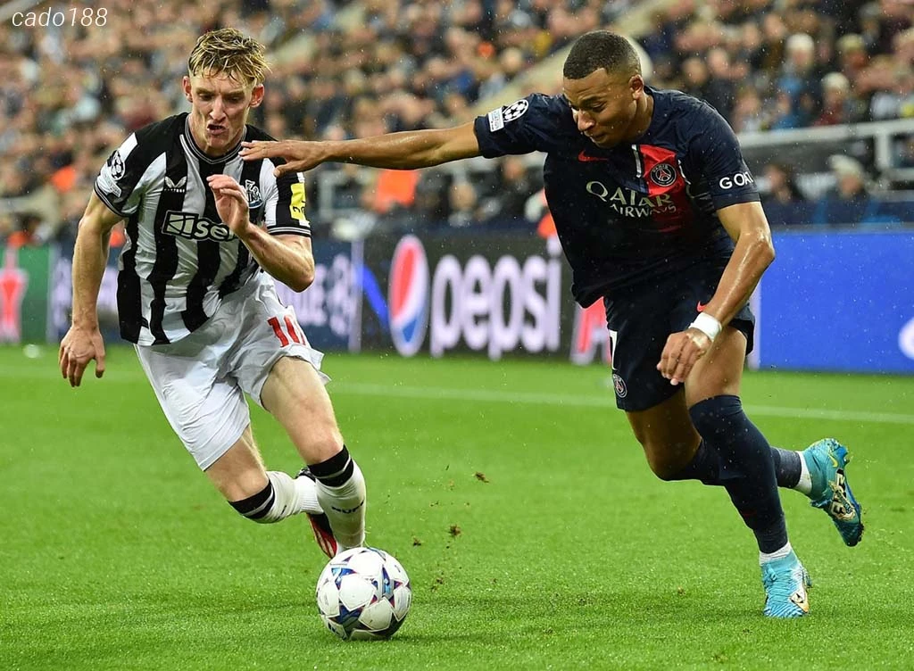 Soi kèo xiên 29/11 PSG vs Newcastle, Champions League