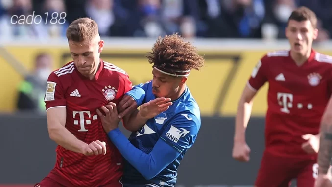 Nhận định soi kèo Bayern Munich vs Hoffenheim, 02h30 ngày 13.01-1