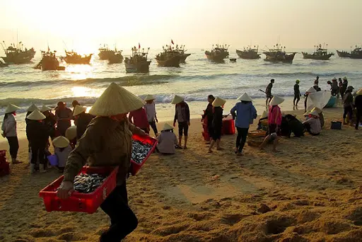Nằm mơ thấy bãi cá có nhiều loại cá khác nhau là điềm báo gì? Mơ thấy bãi cá có nhiều loại cá