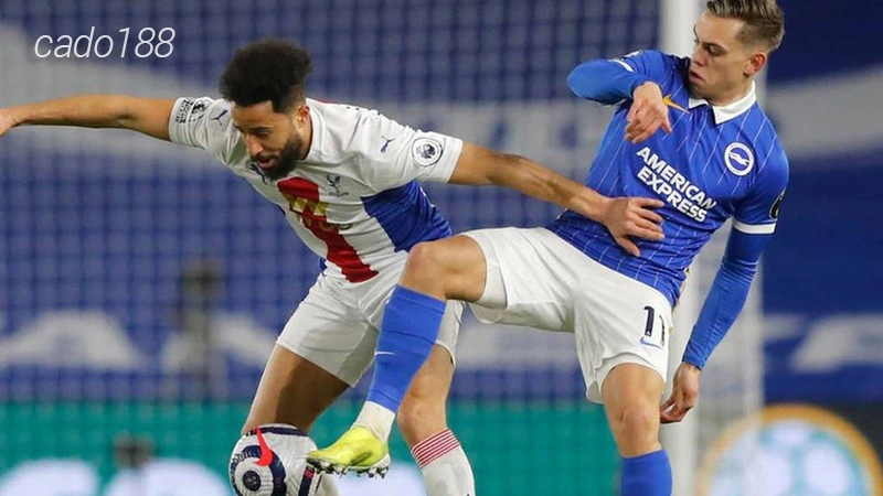 Nhận định soi kèo Brighton vs Crystal Palace, 22h00 ngày 03:02-1