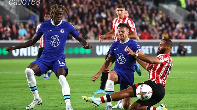 Nhận định soi kèo Brentford vs Chelsea, 22h00 ngày 02:03-1