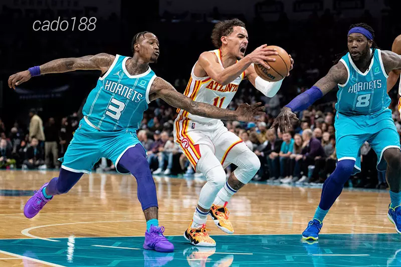 Sự tiến bộ của Brandon Miller đang giúp Charlotte Hornets thi đấu ổn định hơn trong các trận gần nhất Soi kèo bóng rổ NBA Charlotte Hornets vs Atlanta Hawks 15_2