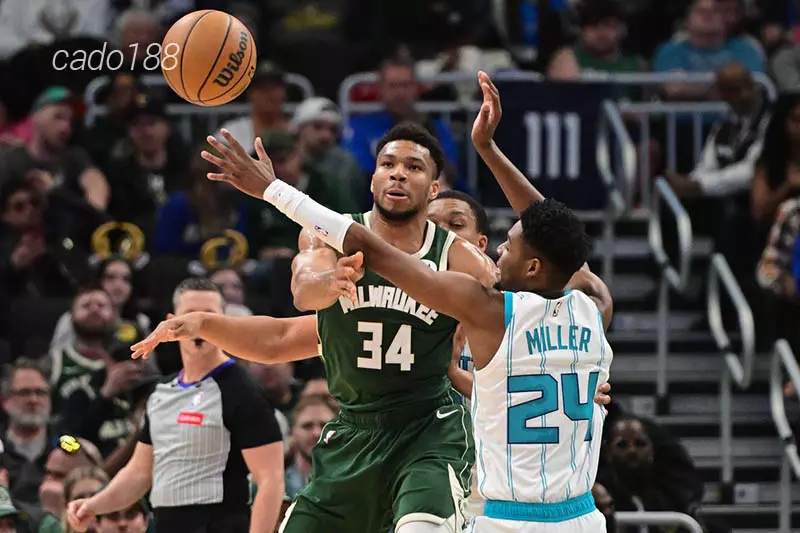 Kinh nghiệm cũng như đẳng cấp là điều mà Ong Bắp Cày không thể so sánh với Milwaukee Bucks Soi kèo bóng rổ NBA Charlotte Hornets vs Milwaukee Bucks 1_3