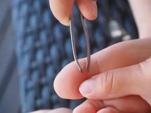 Có nhiều ý nghĩa đặc biệt cho giấc mơ bị gai đâm Mơ bị gai đâm
