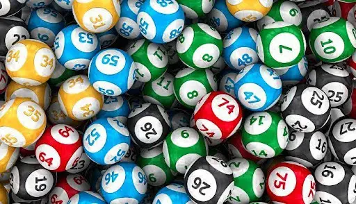 Có những con số gắn với giấc mơ gặp sâu bọ Giải mã giấc mơ về sâu bọ