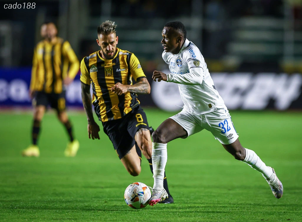 Nhận định kèo xiên 30/05 Gremio vs The Strongest