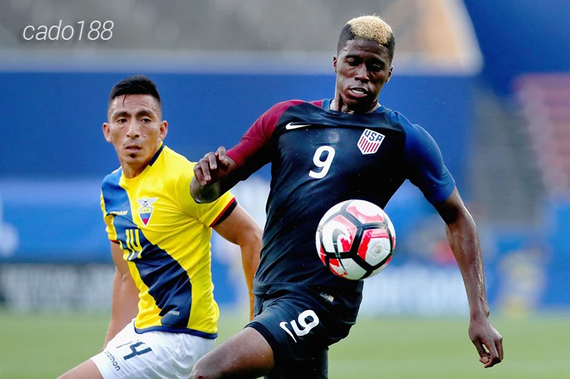 Nhận định soi kèo Mỹ vs Bolivia, 05h00 ngày 24:06-1
