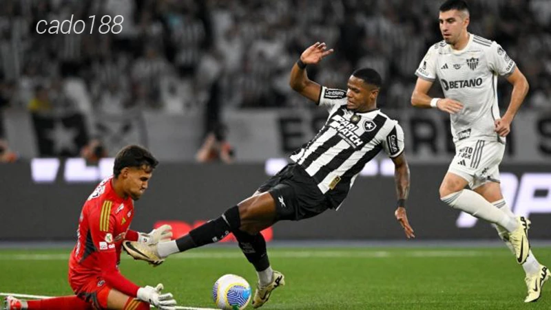 Nhận định soi kèo Vitoria vs Botafogo, 07h30 ngày 12:07-1