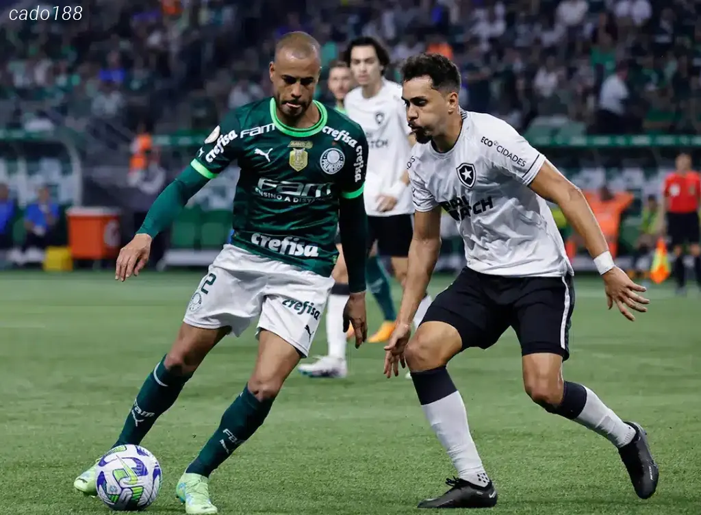 Soi kèo xiên ngày 18/07 Botafogo vs Palmeiras, Copa America